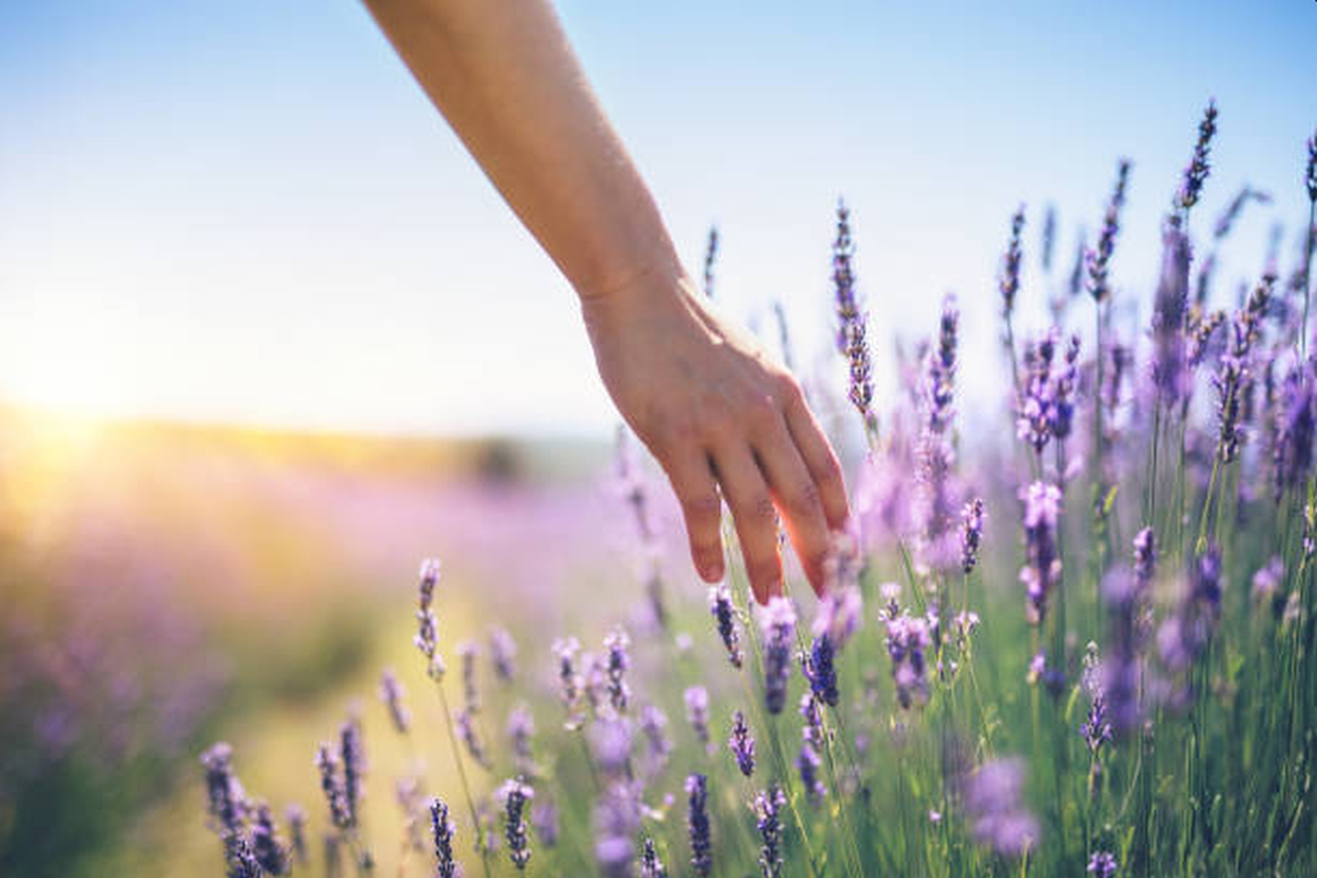 atingerea delicată a zonelor erogene masculine