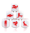 Kamasutra Gay cube