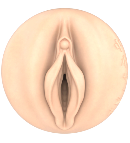 Fleshlight Fantasy Sasha - Structura Ecchi