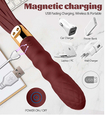 Vibrator elegant care se termină cu un bici 