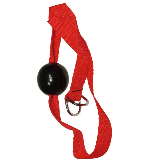 BDSM bondage set