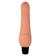 Vibrator jucăuș