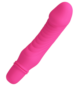 Vibrator delfin mic - 10 vibrații
