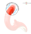 Vibrator roșu cu limbă în mișcare